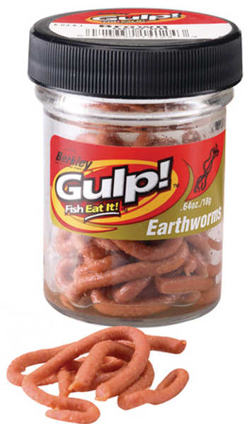 Bild på Gulp Earthworm