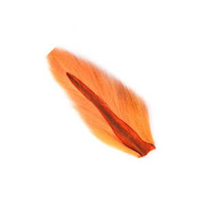 Bild på Flyco Bucktail/Hjortsvans Hel Large Fluo Orange
