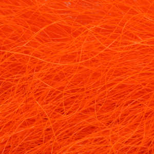 Bild på Kalvsvans/Kiptail Orange