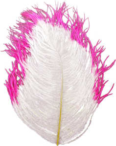 Bild på Tip Dyed Ostritch (Struts) White/Pink