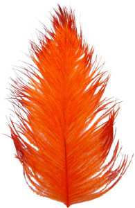 Bild på Tip Dyed Ostritch (Struts) Orange/Red