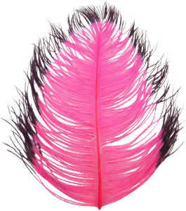 Bild på Tip Dyed Ostritch (Struts) Hot Pink/Black