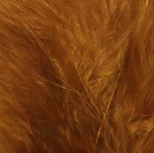 Bild på Marabou Fjäder (Plumes) Golden Brown