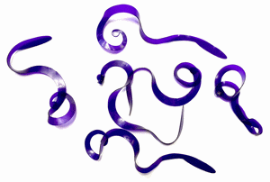 Bild på Kiley's Slow Rolla Tails Small (Purple)