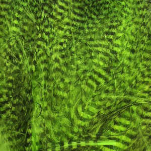 Bild på Marabou Fine Barred Feathers Fluo Chartreuse