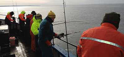 EL-GE ﻿Anders tips på fiske efter torsk i Öresund.