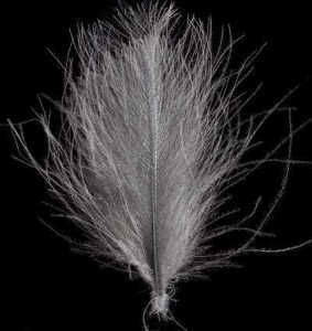 Bild på Swiss CDC Feathers Super Select Pale Dun
