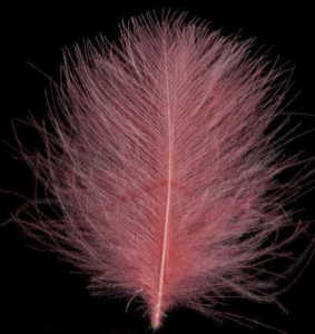 Bild på Swiss CDC Feathers Ultra Select XL Light Pink