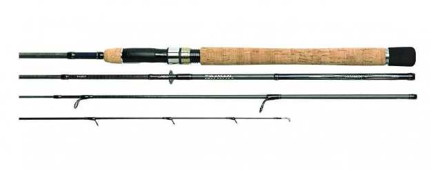 Bild på Daiwa Tournament AGS Salmon 12ft 25-70g