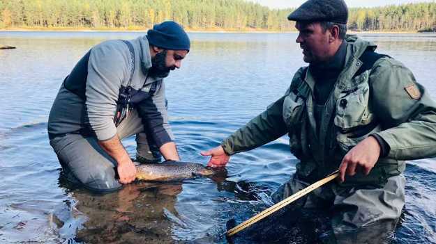 Bild på Hökensås Resa 18-20/10 2019