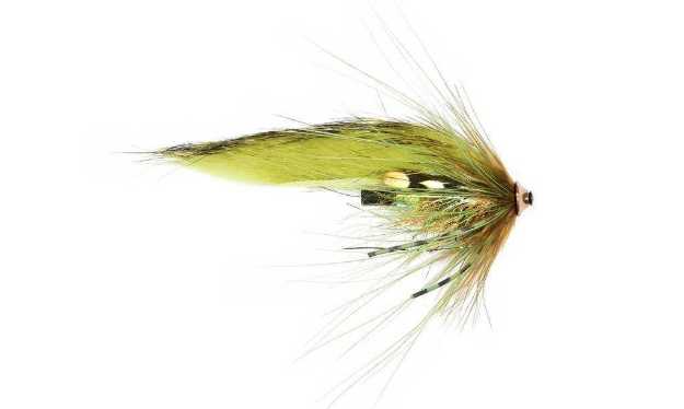 Bild på Frödin Sea Trout Spey Series (3cm) Olive Z Spey