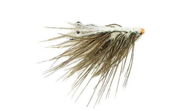 Bild på Frödin Sea Trout Spey Series (3cm) Spey Shrimp