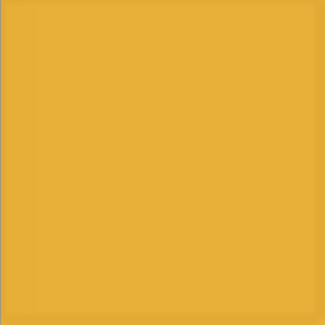 Bild på Json Realistisk Färgad Foam (12 pack) Saffron Gold