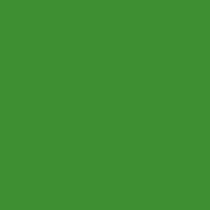 Bild på Json Realistisk Färgad Foam (12 pack) Apple Green