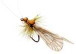 Bild på Json Realistic Body Caddis Pumpkin Orange (12 pack)