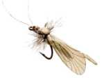 Bild på Json Realistic Body Caddis Pistachio Green (12 pack)