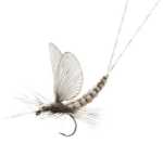 Bild på Json Realistic Wing Mayfly Clear (24 par)