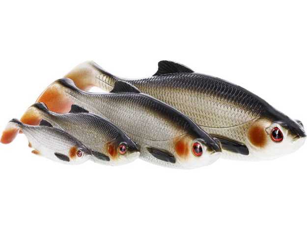 Bild på Westin Ricky the Roach SL/ST 10cm 14g (2 pack)