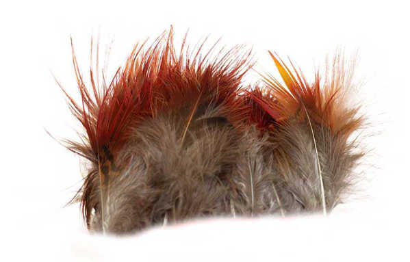 Bild på Guldfasan Red Body Feathers Strung