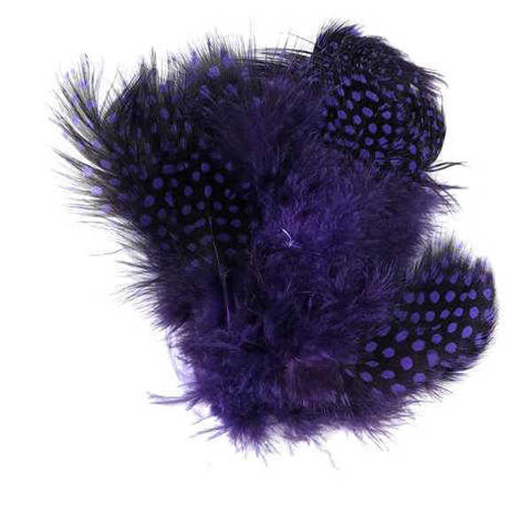 Bild på Guinea Jumbo (Pärlhöna hackel) Purple