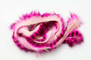 Bild på Tiger Barred Rabbit Strips Hot Pink/Black over White