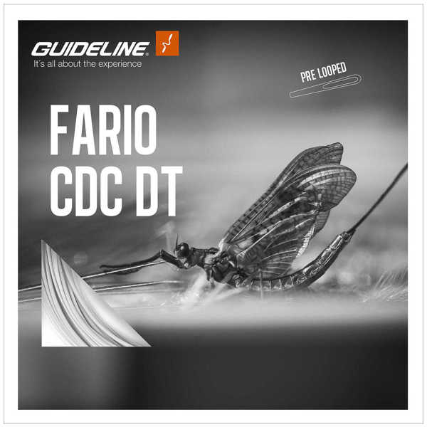 Bild på Guideline Fario CDC DT Float #2