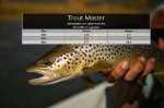 Bild på Monic Trout Master Floating WF4