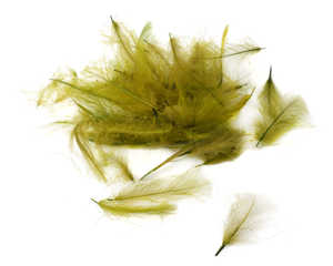 Bild på Fly Dressing Premium CDC Pale Olive
