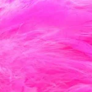 Bild på Schlappen Medium Fluo Pink