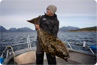 Bild på Frovåg, Nordnorge | Havsfiske - ”Hosted trip”