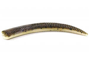 Bild på Bite of Bleak Nazeebo Worm 10cm (8 pack) Mud Minnow