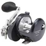 Bild på Shimano Reel Torium 14lb A HG (Högervevad)