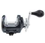 Bild på Shimano Reel Torium 14lb A HG (Högervevad)