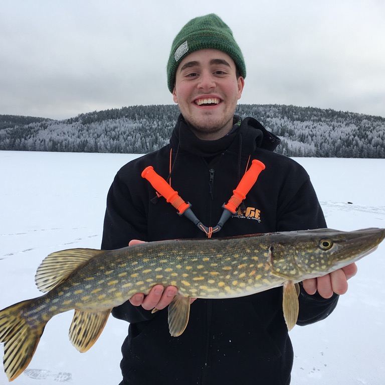 Gäddfiske - Utrustning och tips »  - Fiskebutik